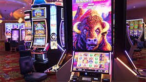 cylbet88